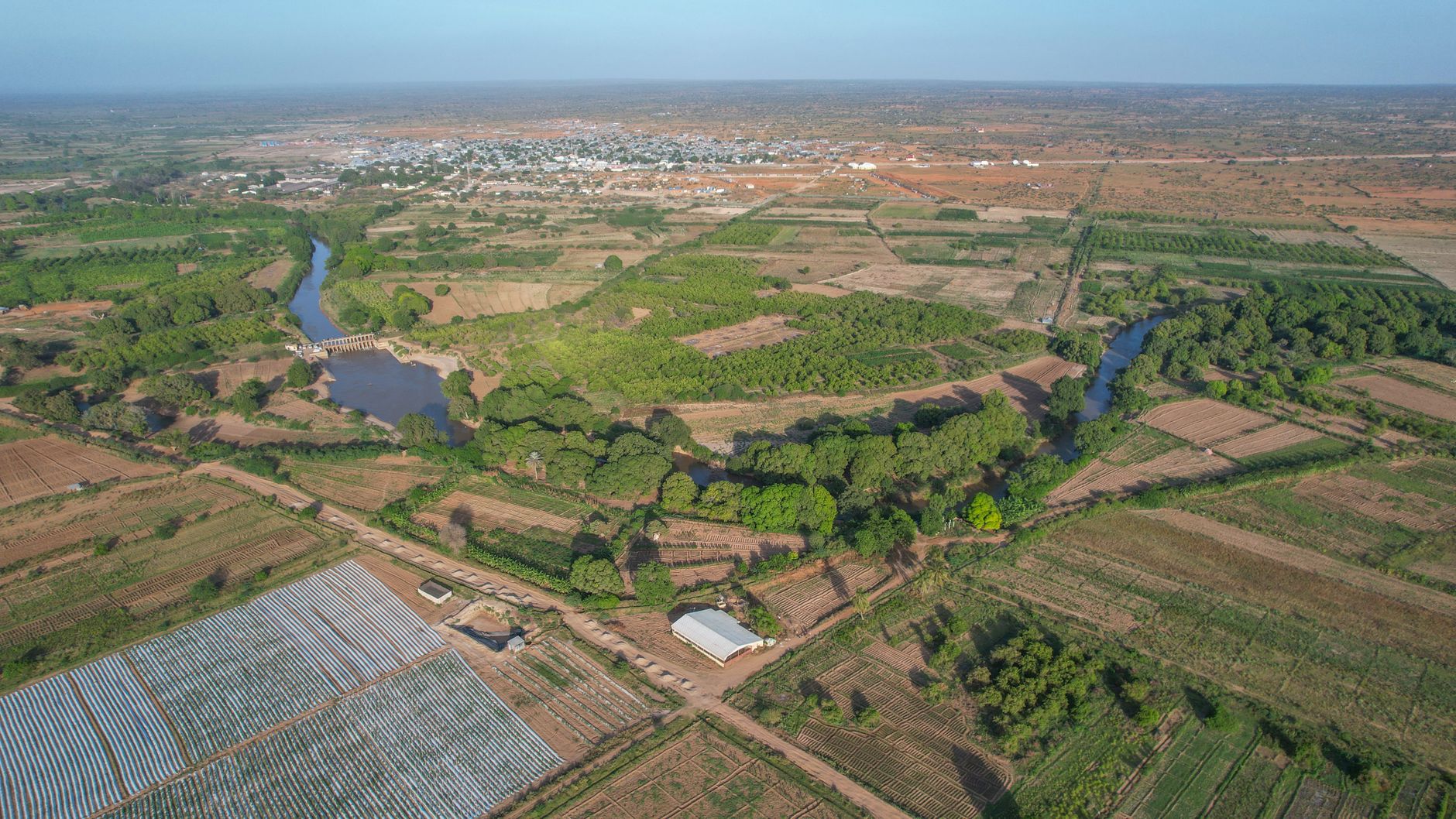 67 Farms Return to Foreign Investors Under Zimbabwe's BIPPA Deal