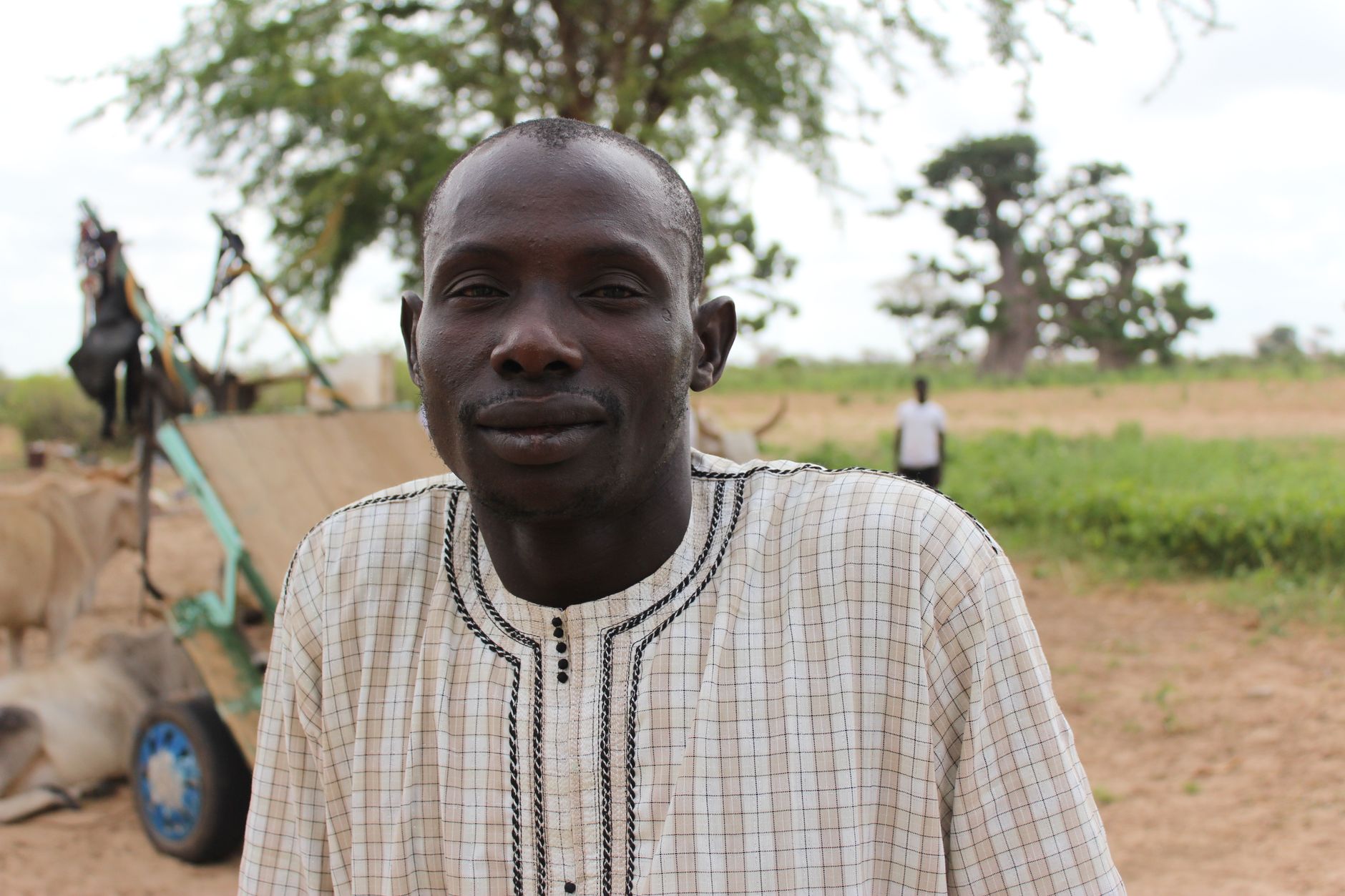 840 Farms Wrongly Seized During Land Reform to Return to Black Zimbabwean Owners